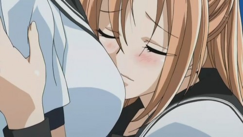 2009-autumn-03-500x283
